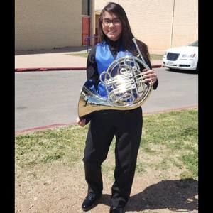 Meet your Posher, Elsa